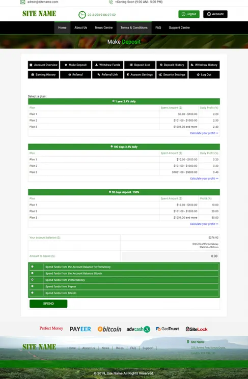 Investment Template 3 Page
