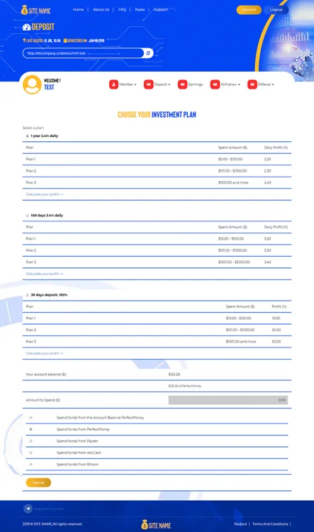 Investment Template 3 Page