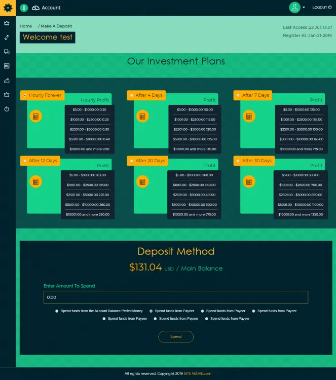 Investment Template 3 Page