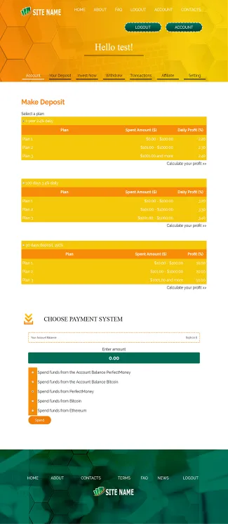 Investment Template 3 Page