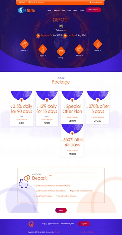 Investment Template 3 Page