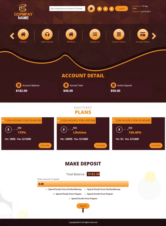 Investment Template 3 Page