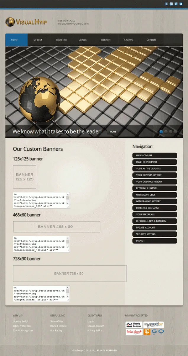 Investment Template 10 Page