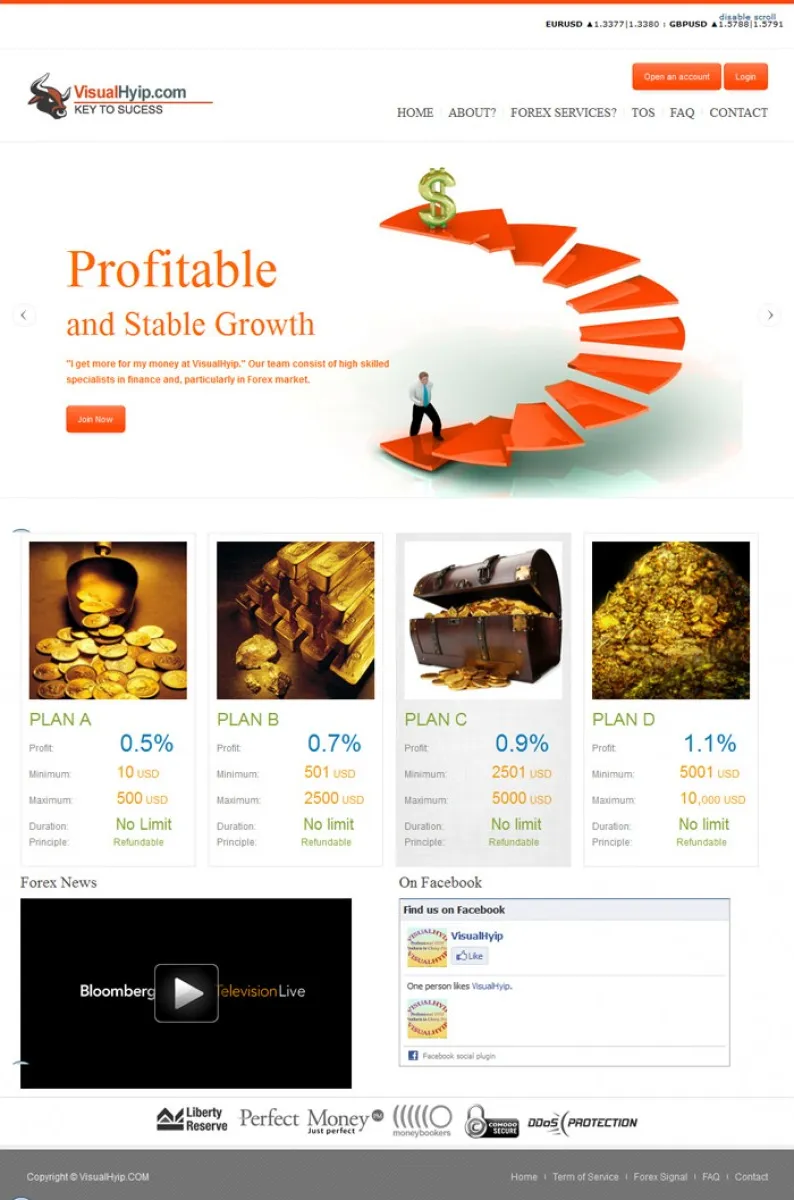 HYIP zvpt Investment Template 1028 Design