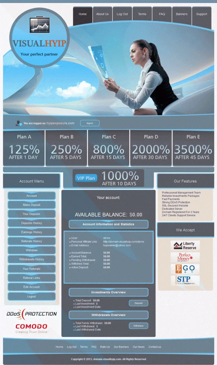 Investment Template 7 Page