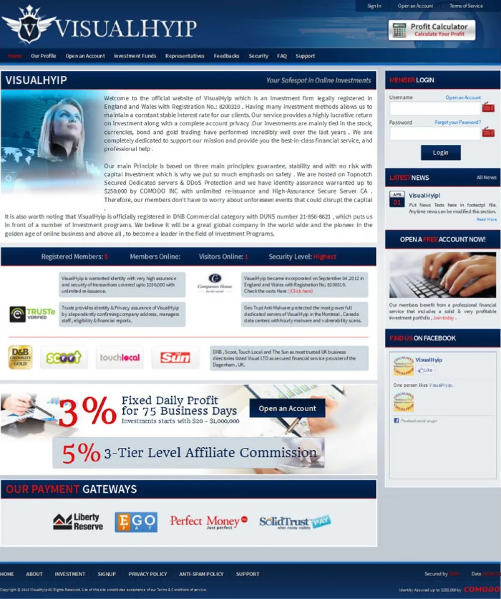 HYIP zvpt Investment Template 1040 Design