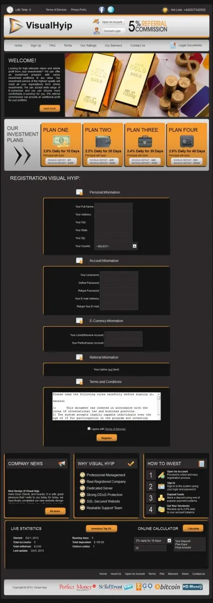 Investment Template 2 Page