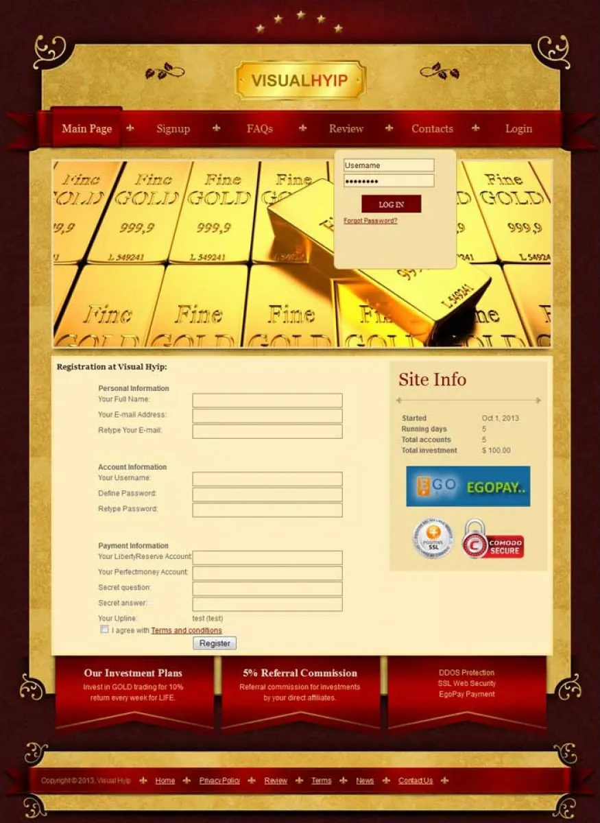 Investment Template 2 Page
