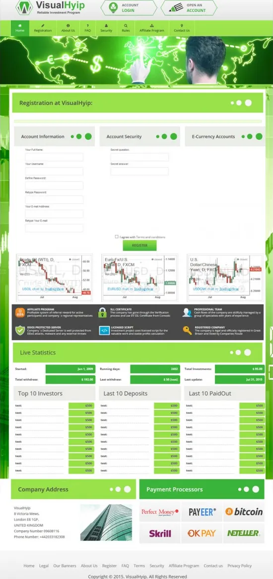 Investment Template 3 Page