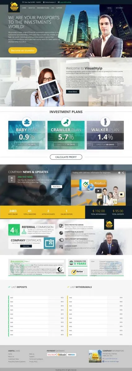 HYIP zvpt Investment Template 1143 Design