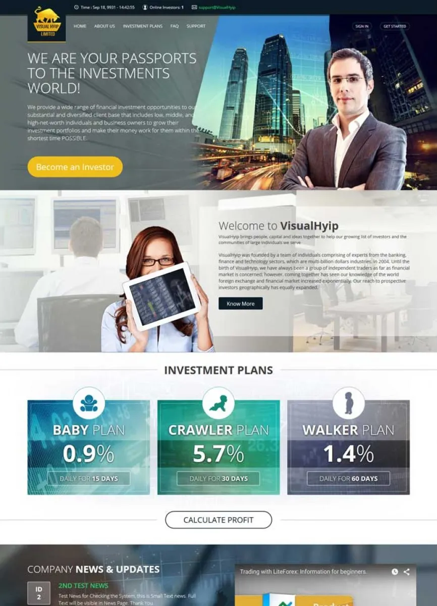 Investment Template 5 Page