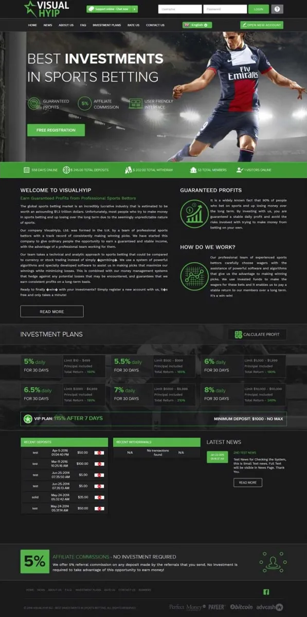 HYIP zvpt Investment Template 1165 Design