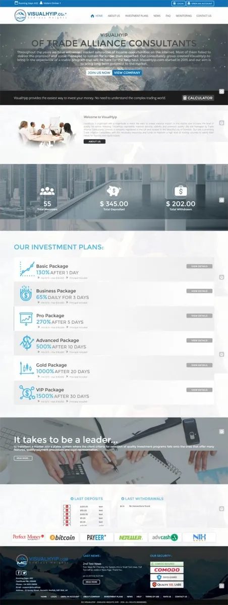 HYIP zvpt Investment Template 1174 Design