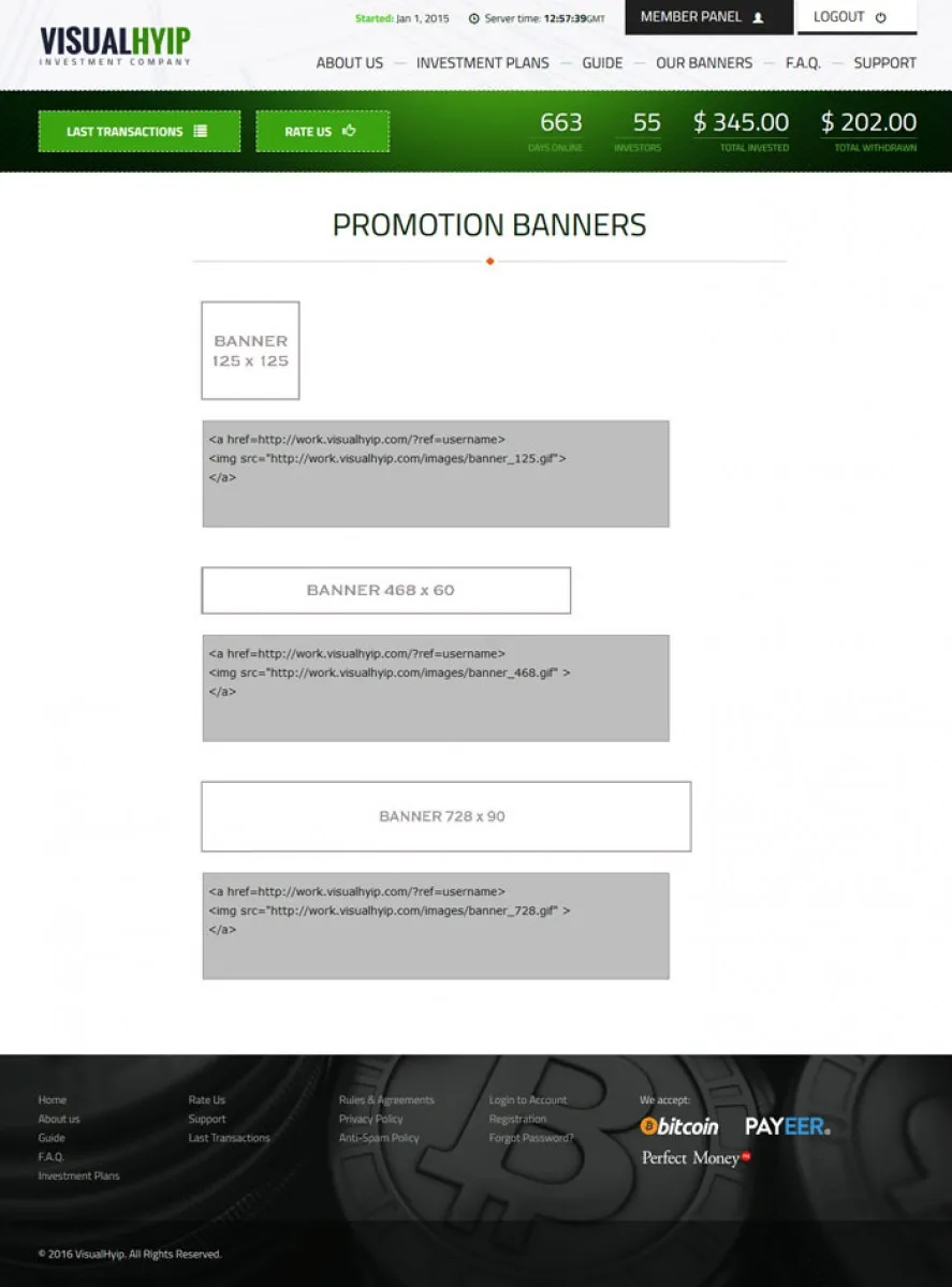 Investment Template 3 Page