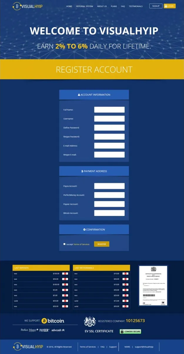 Investment Template 2 Page