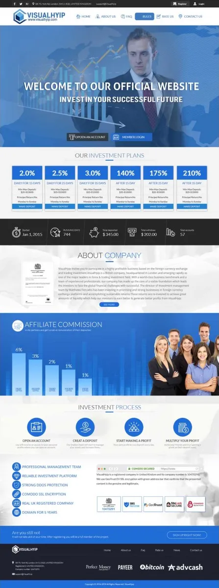 HYIP zvpt Investment Template 1195 Design