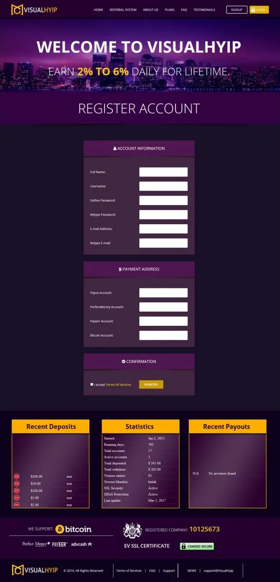 Investment Template 3 Page