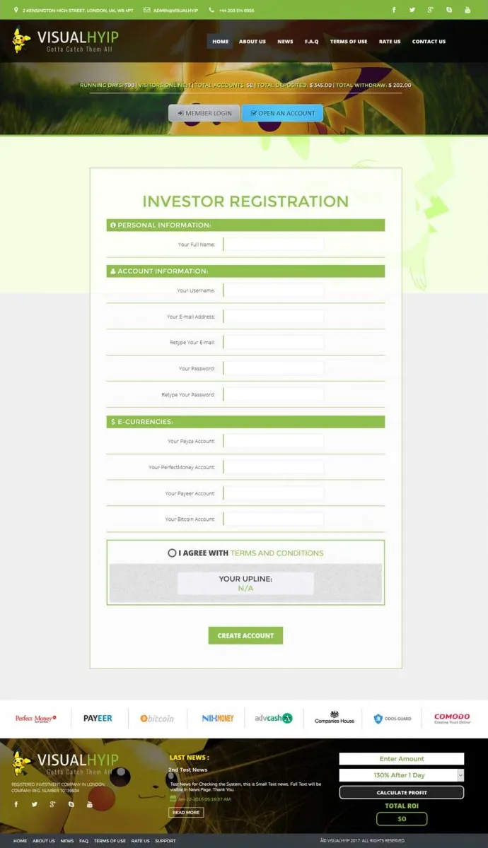 Investment Template 2 Page