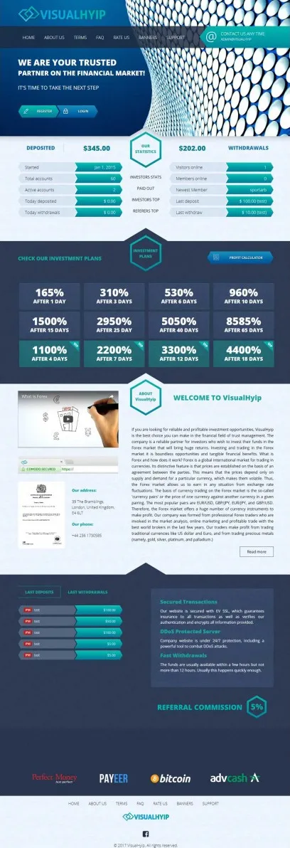 HYIP zvpt Investment Template 1205 Design