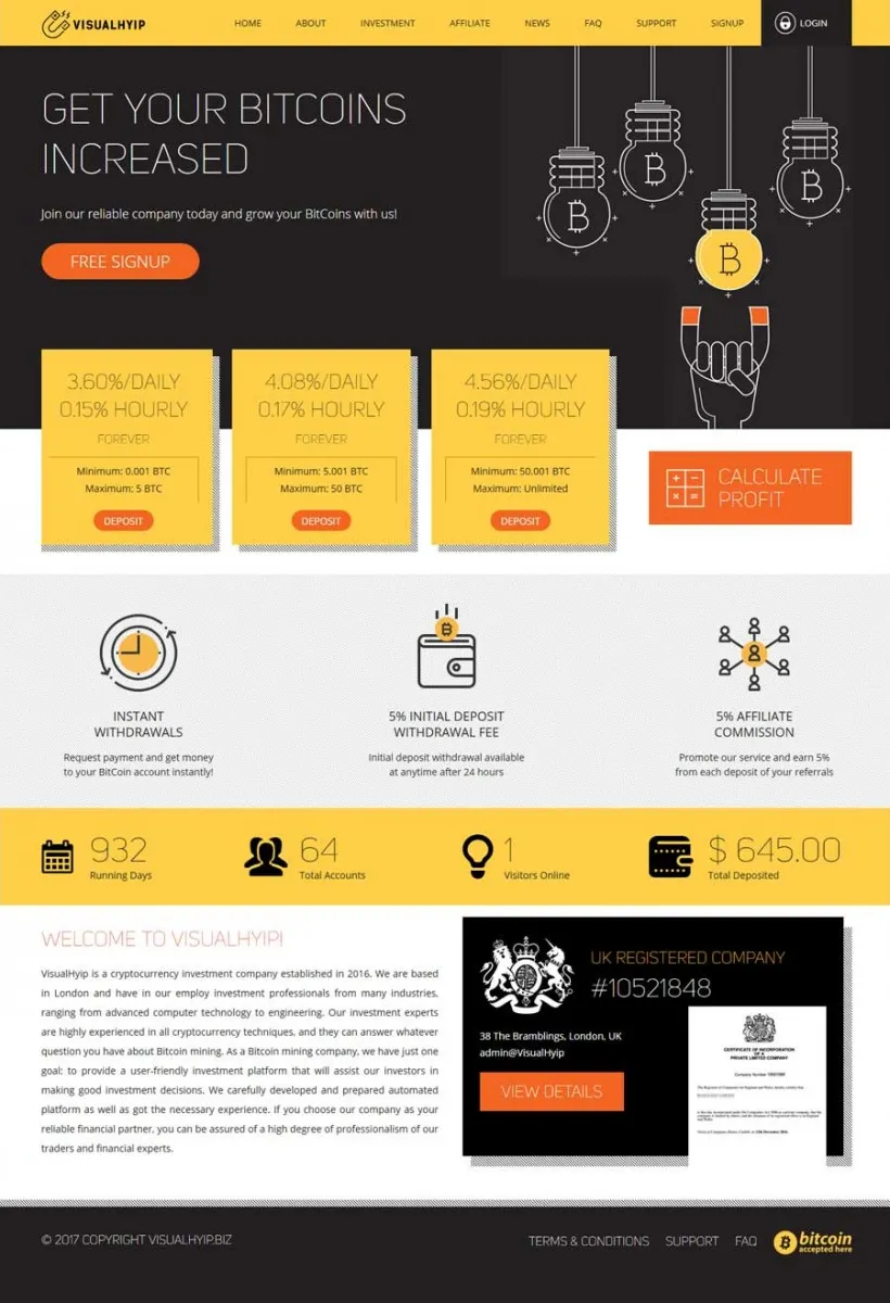 HYIP zvpt Investment Template 1221 Design