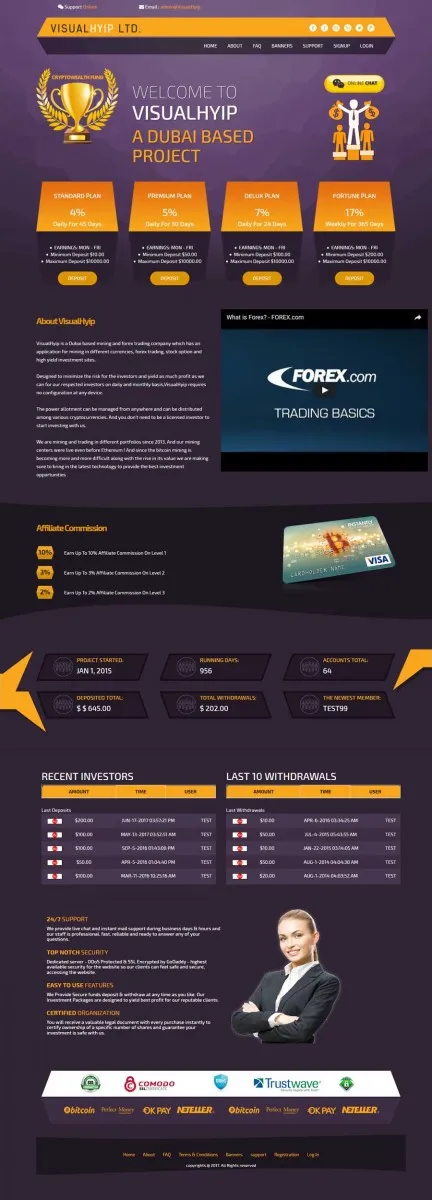 HYIP zvpt Investment Template 1224 Design