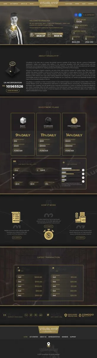 HYIP zvpt Investment Template 1230 Design