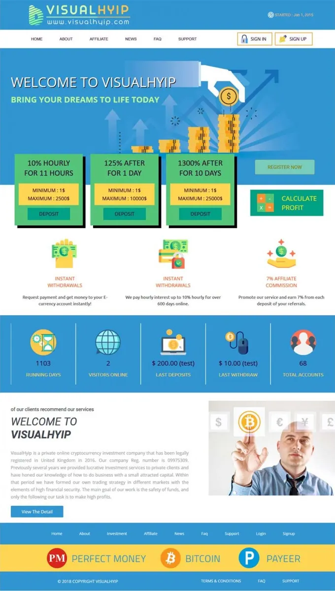 HYIP zvpt Investment Template 1244 Design