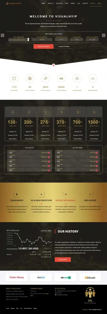 HYIP zvpt Investment Template 1246 Design