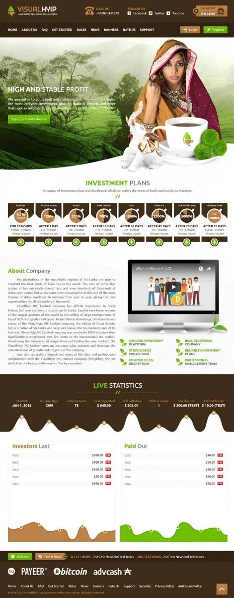 HYIP zvpt Investment Template 1271 Design