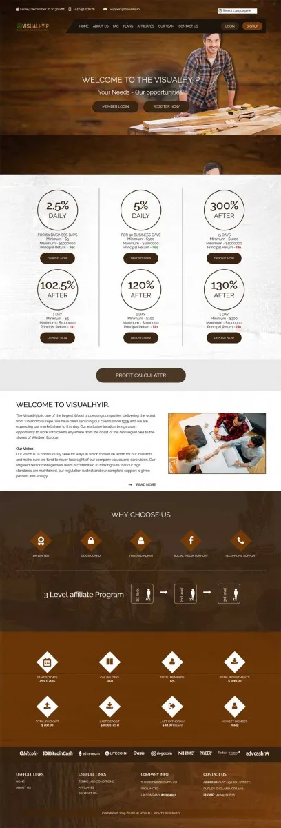 HYIP zvpt Investment Template 1299 Design