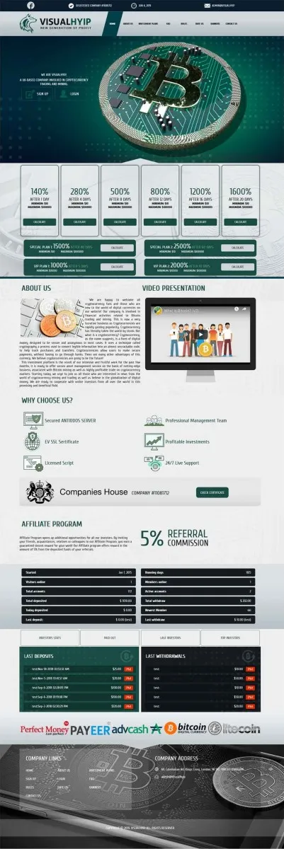 HYIP zvpt Investment Template 1327 Design