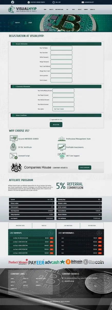 Investment Template 2 Page