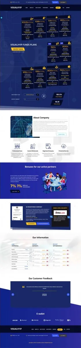 HYIP zvpt Investment Template 1382 Design