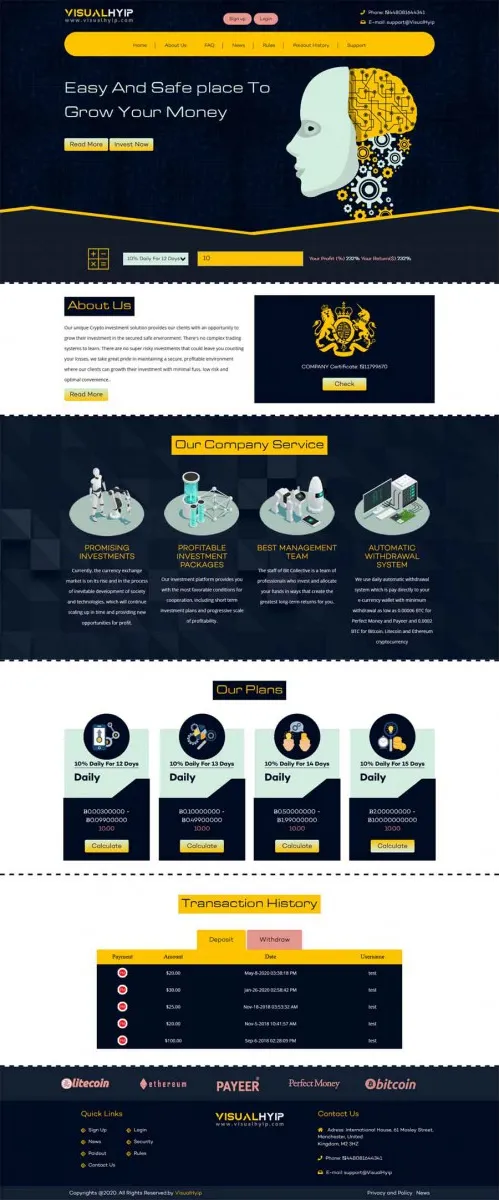 HYIP zvpt Investment Template 1384 Design