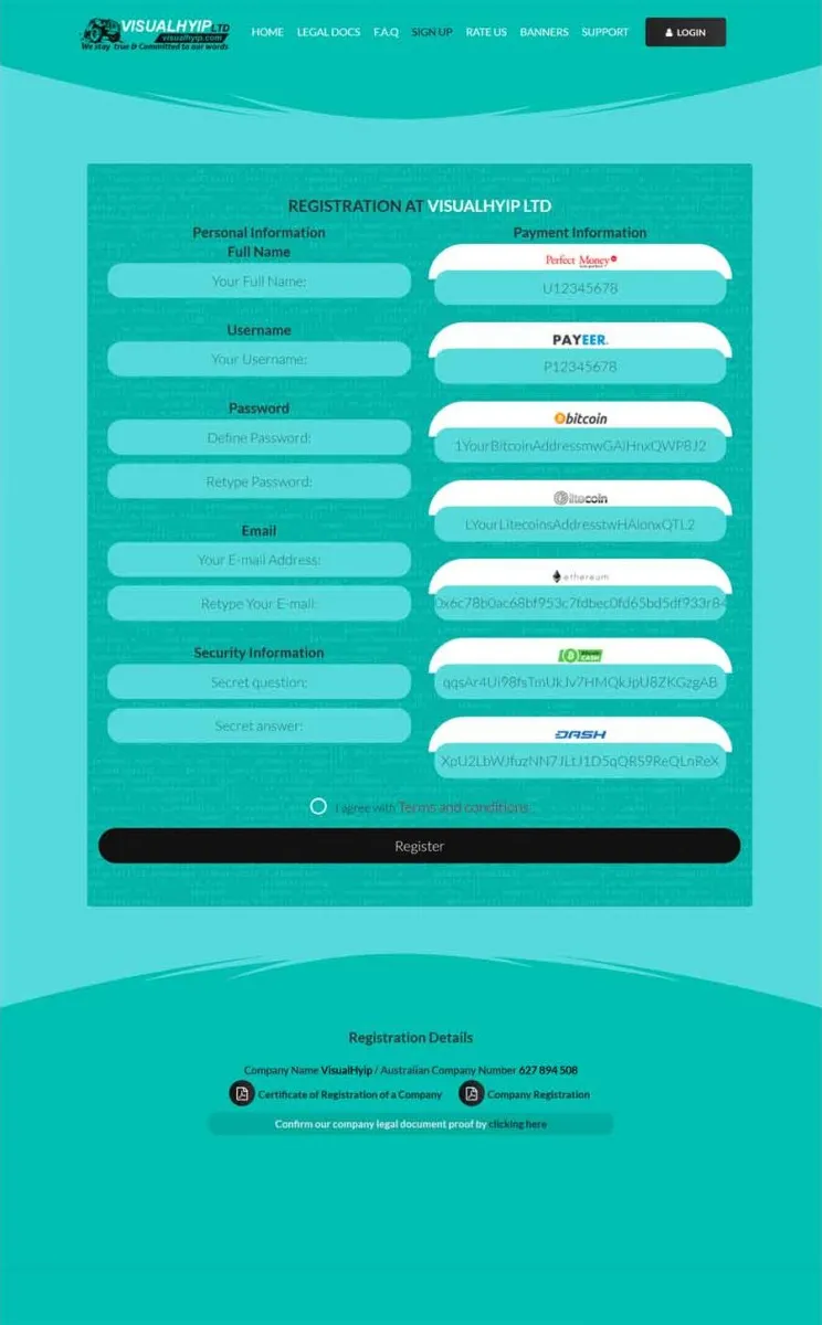 Investment Template 2 Page