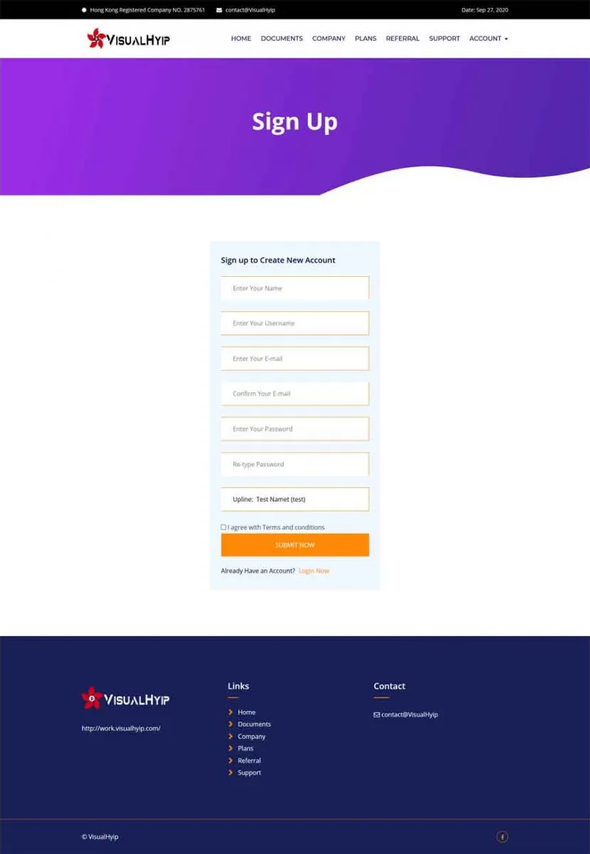Investment Template 3 Page