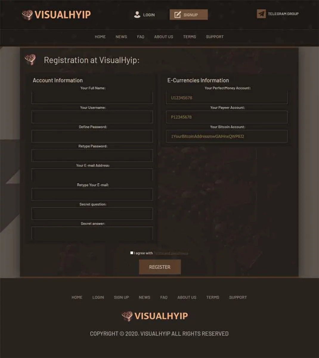 Investment Template 3 Page