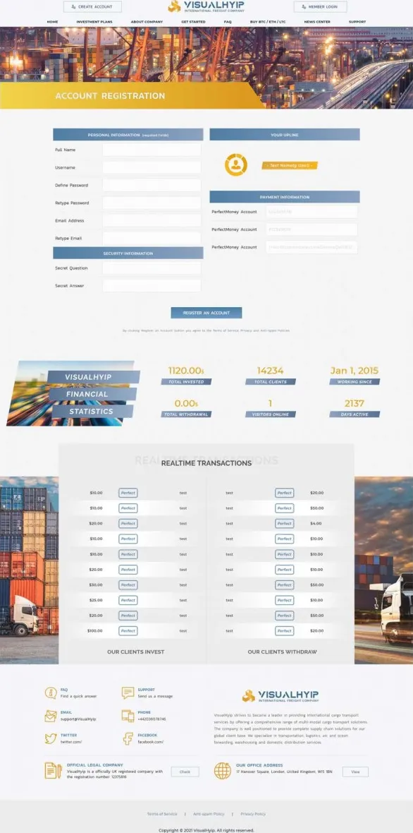 Investment Template 3 Page