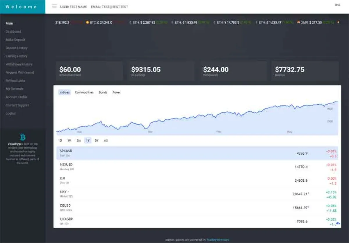Investment Template 4 Page