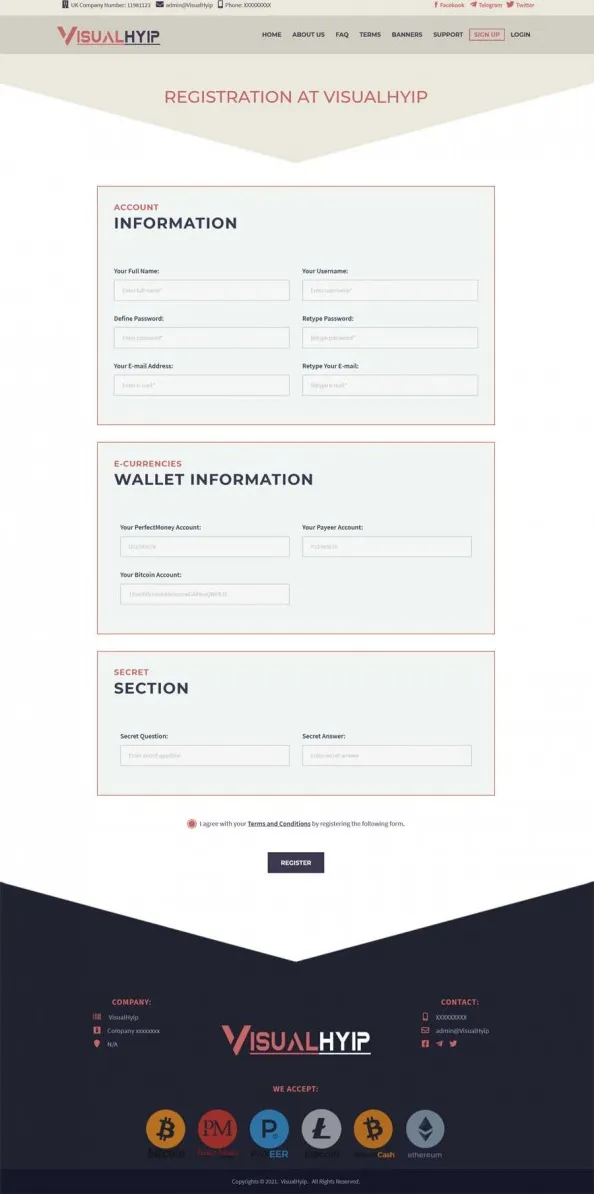Investment Template 3 Page