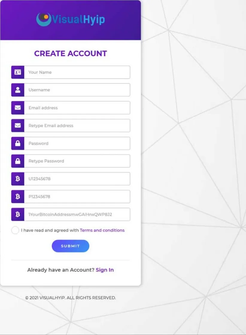 Investment Template 3 Page