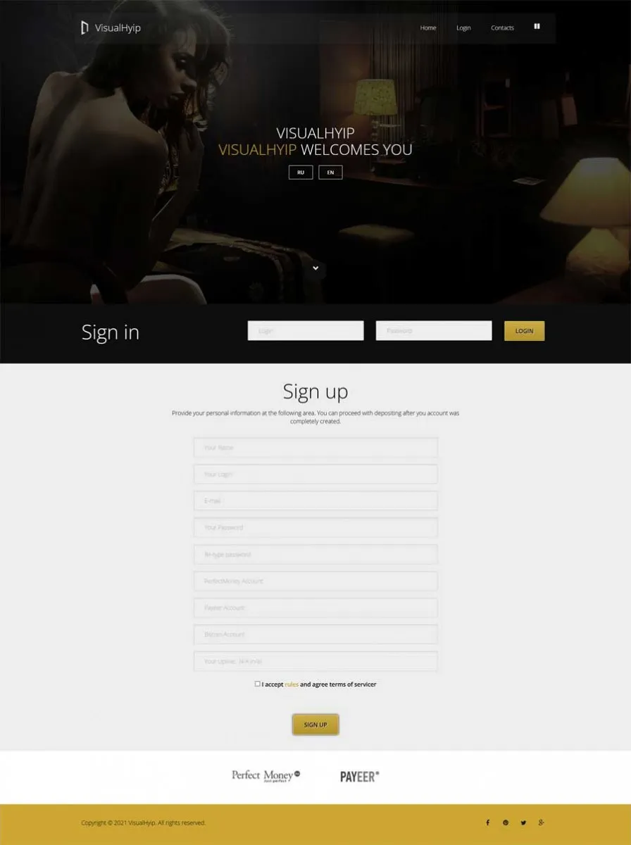 Investment Template 3 Page