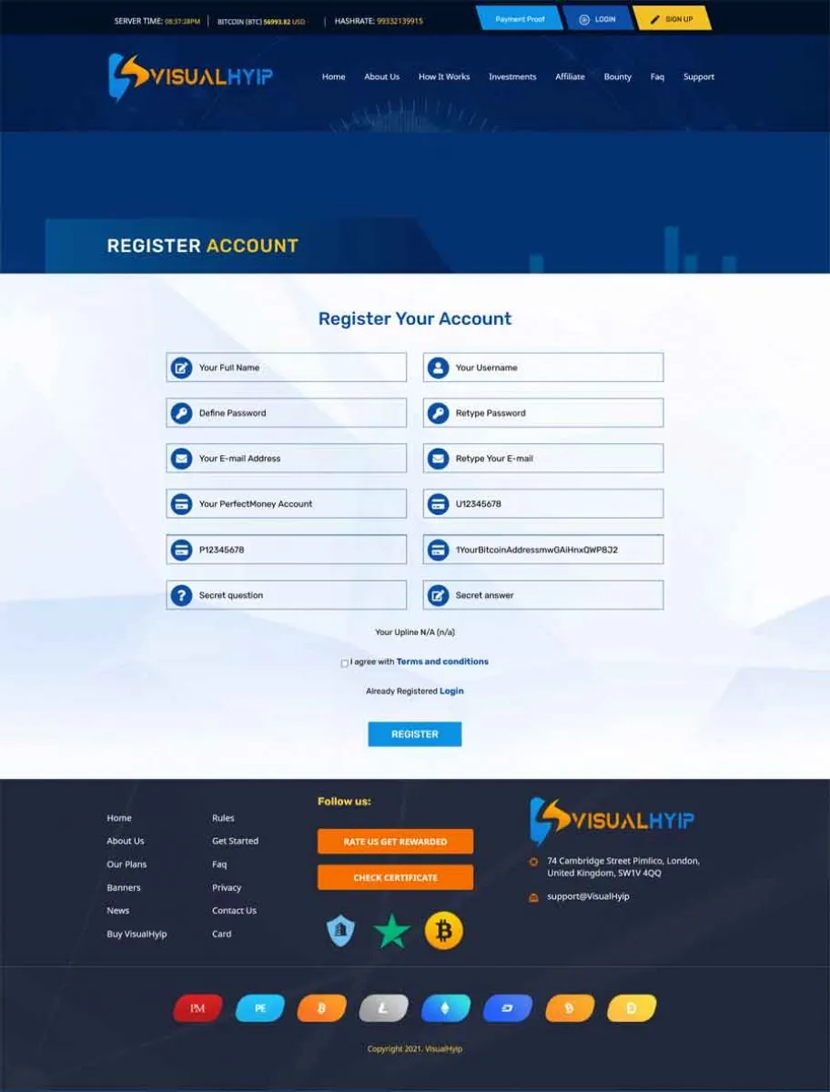 Investment Template 3 Page