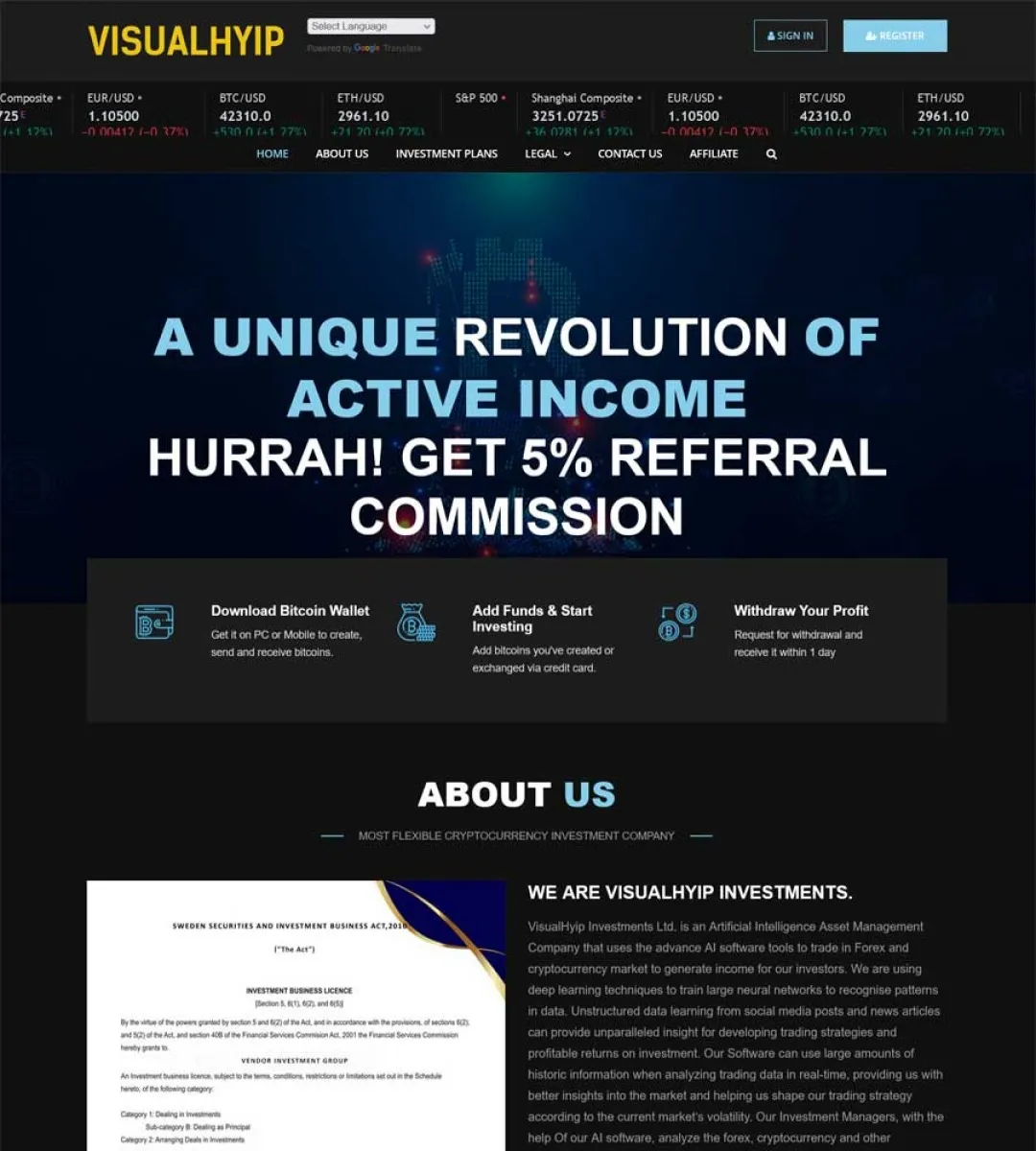 Investment Template 2 Page