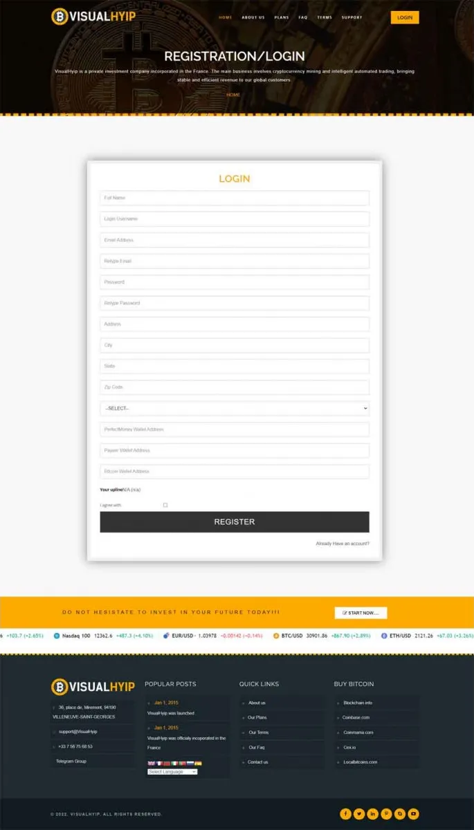 Investment Template 3 Page