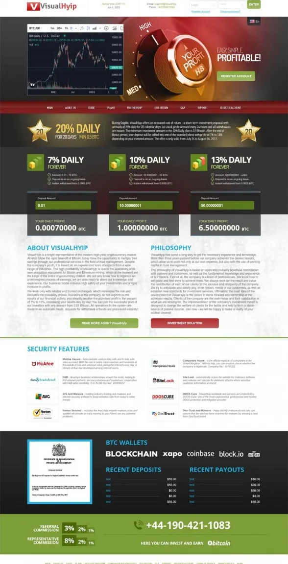 HYIP zvpt Investment Template 1447 Design