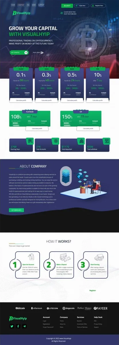 HYIP zvpt Investment Template 1467 Design