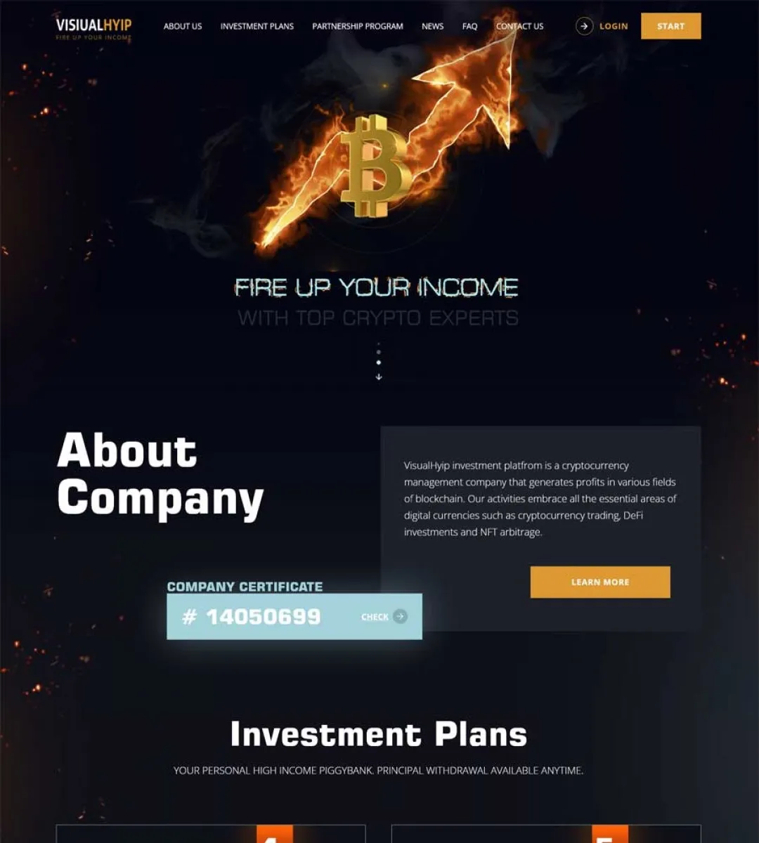Investment Template 2 Page
