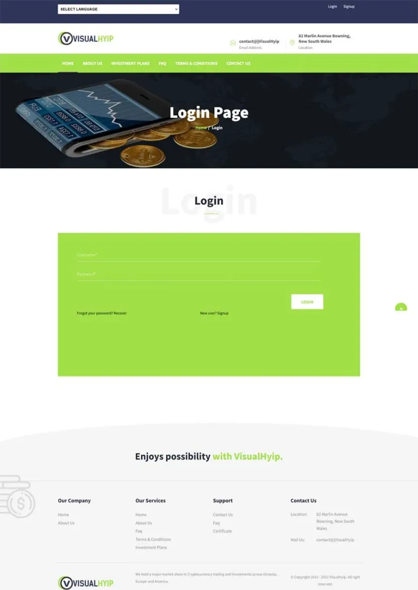 Investment Template 3 Page