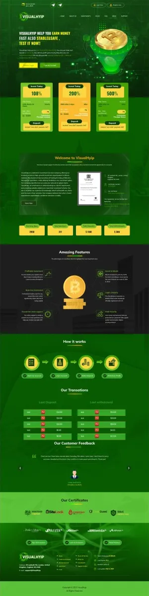 HYIP zvpt Investment Template 1493 Design